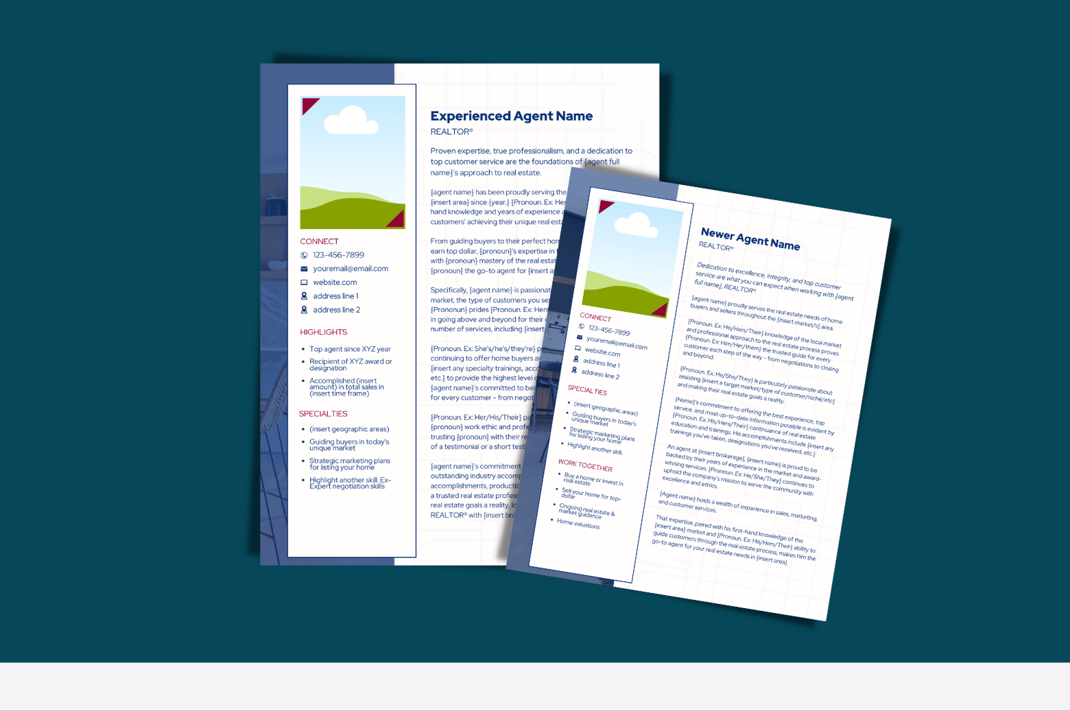 Agent Bio &amp; Resume with Prewritten Text