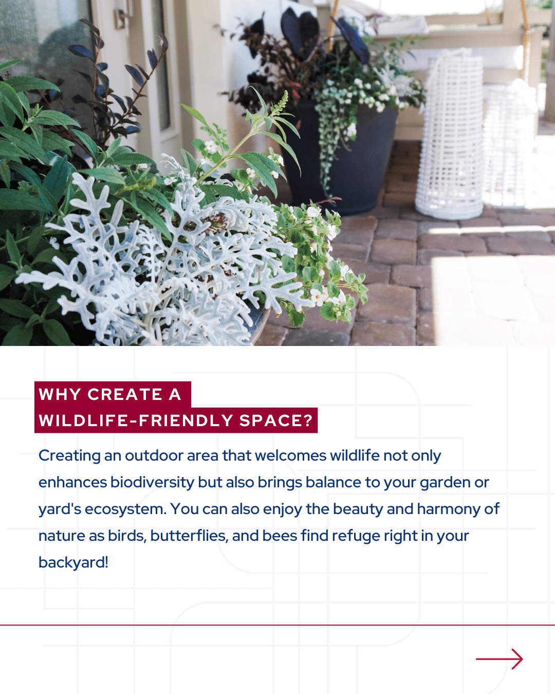 Day 19_ Wildlife at Home in Your Area (2).png