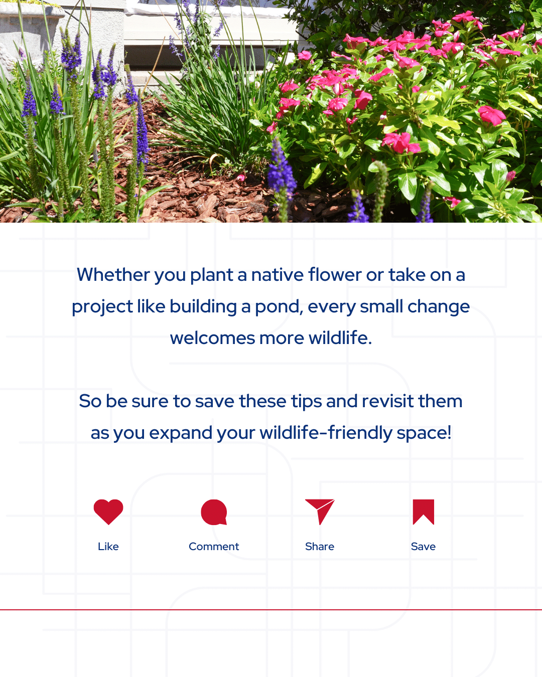 Day 19_ Wildlife at Home in Your Area (4).png