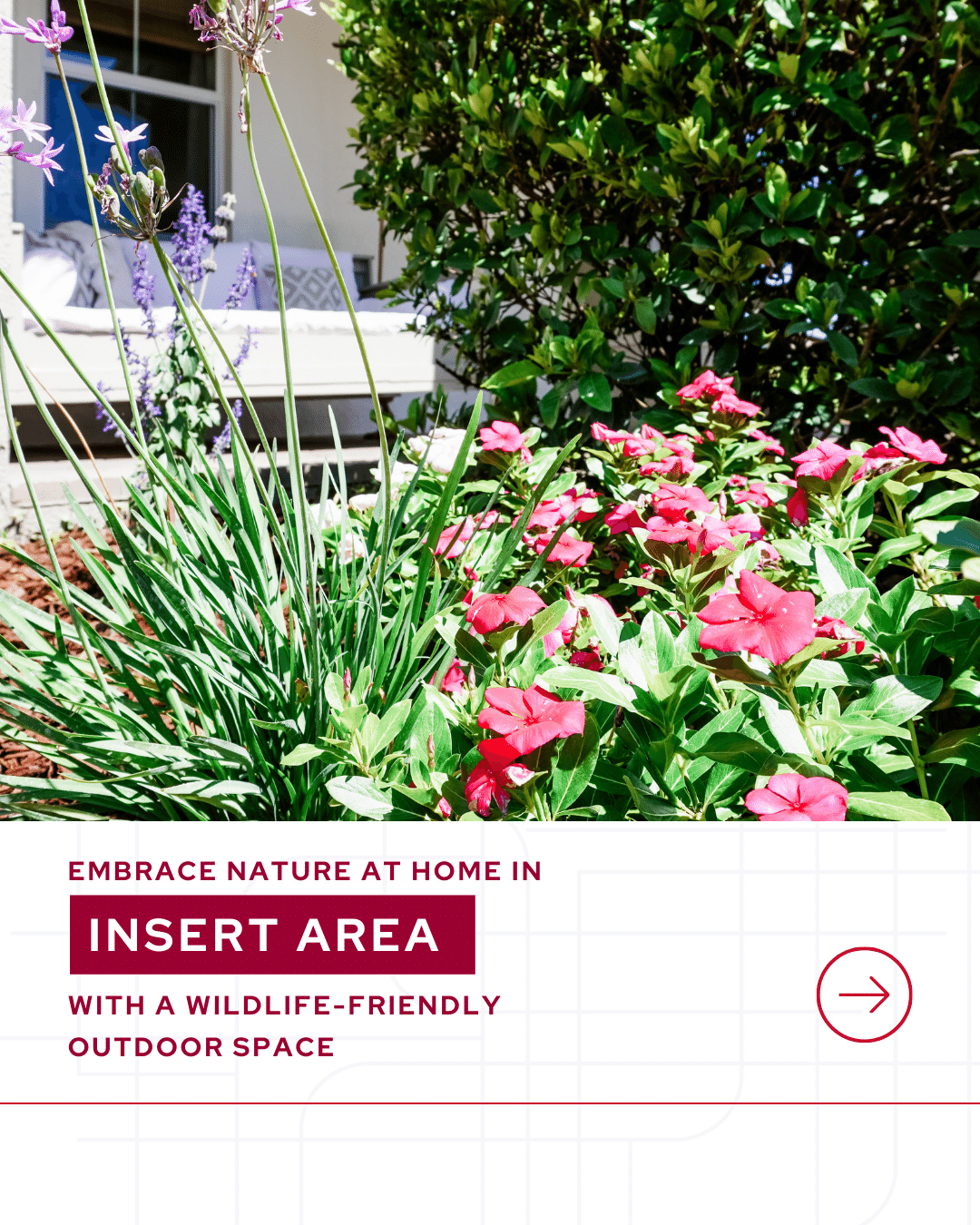 Day 19_ Wildlife at Home in Your Area.png