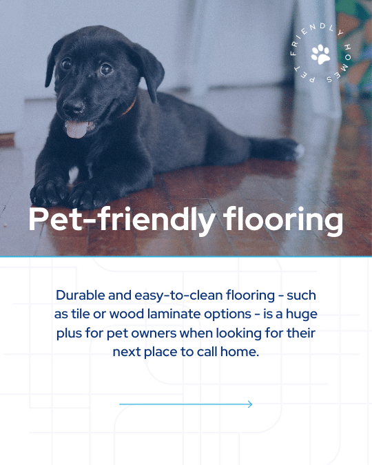 Day 13_ Pet Friendly Home Features (3).png
