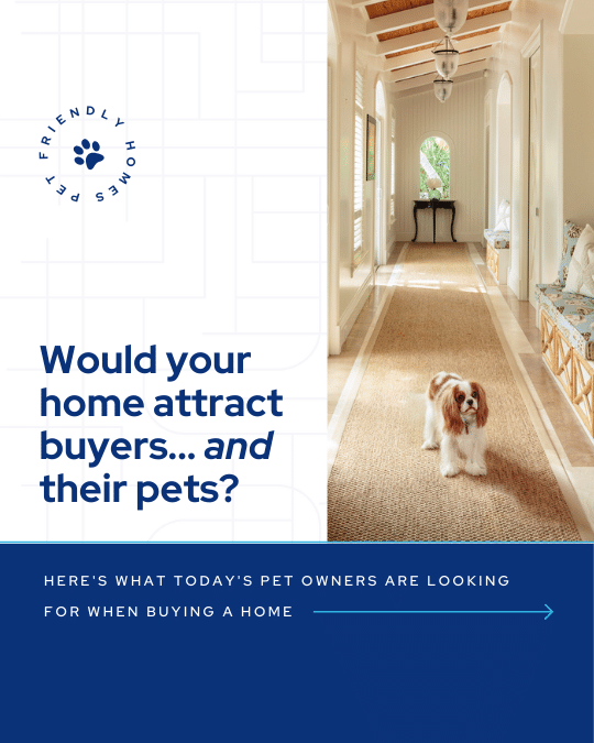 Day 13_ Pet Friendly Home Features.png