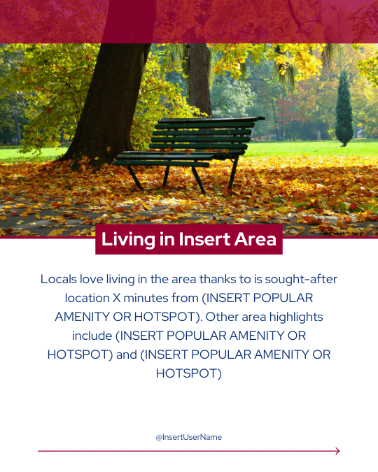 Local Area Guide (2).png