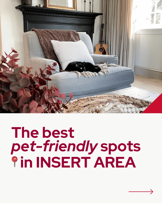 Day 9_ Pet Friendly Spots.png