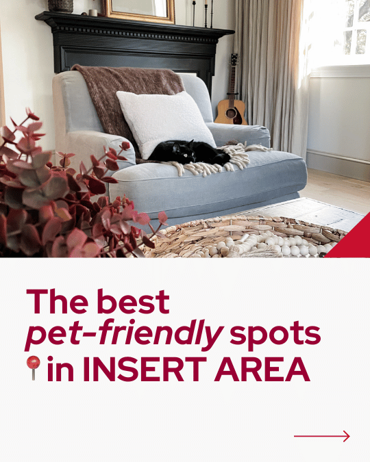 Day 9_ Pet Friendly Spots.png