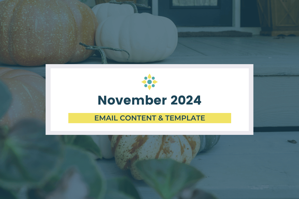 November 2024 - Email Newsletter