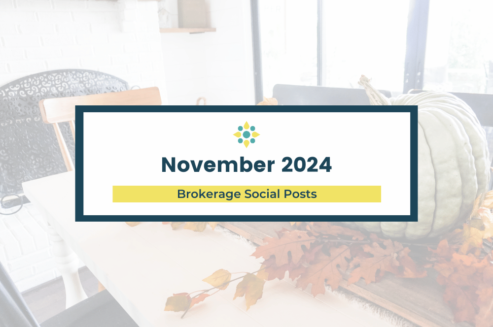 November 2024 - Social Media Content