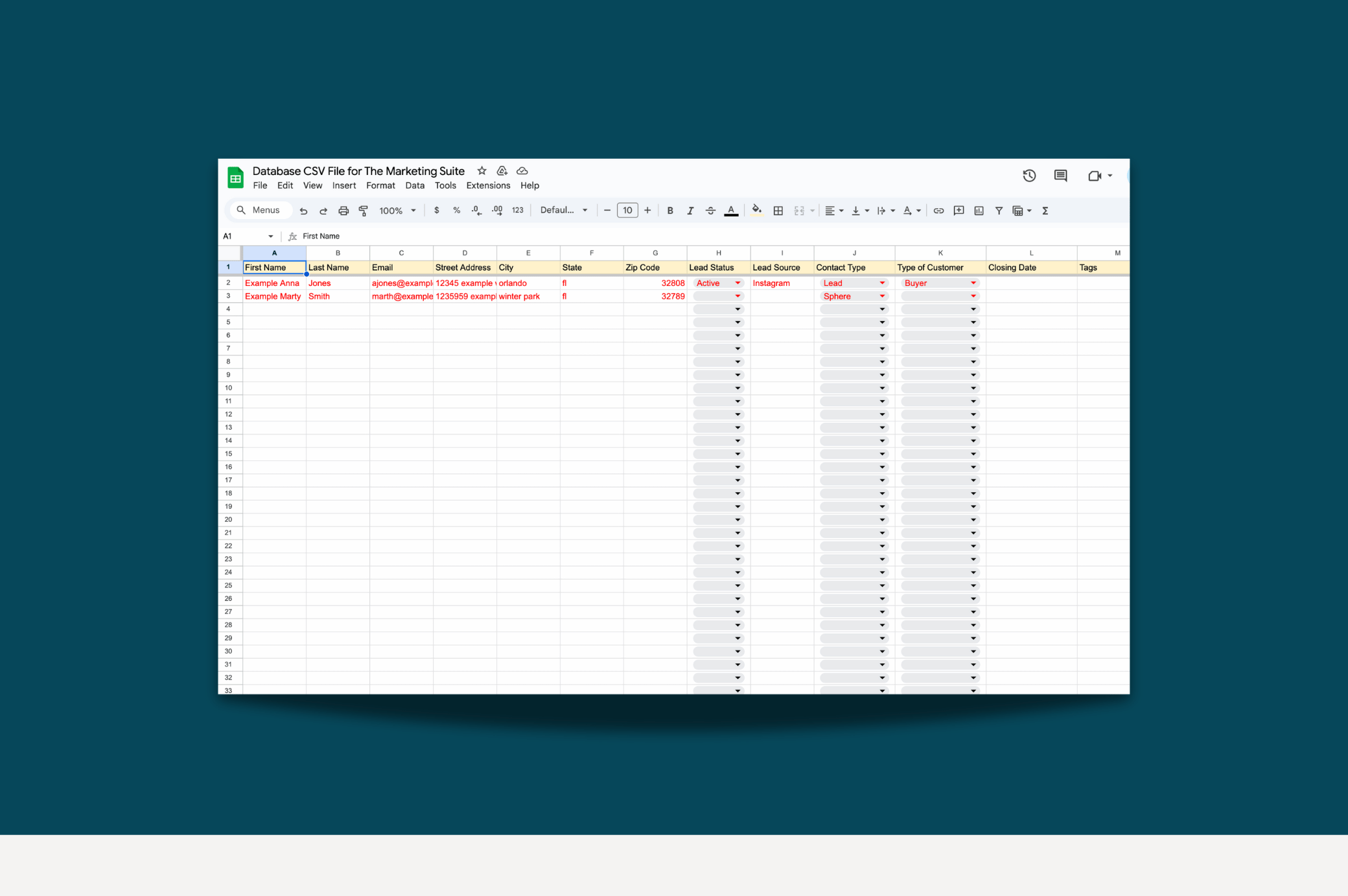 Database Organizer - CSV or Excel File