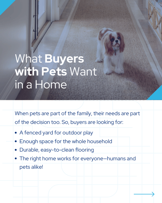 Day 20_ Pets Shape Big Moves (3).png