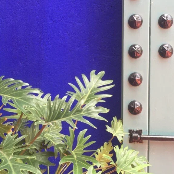 Morocco- the ultimate color inspiration. 
📷: Lynn