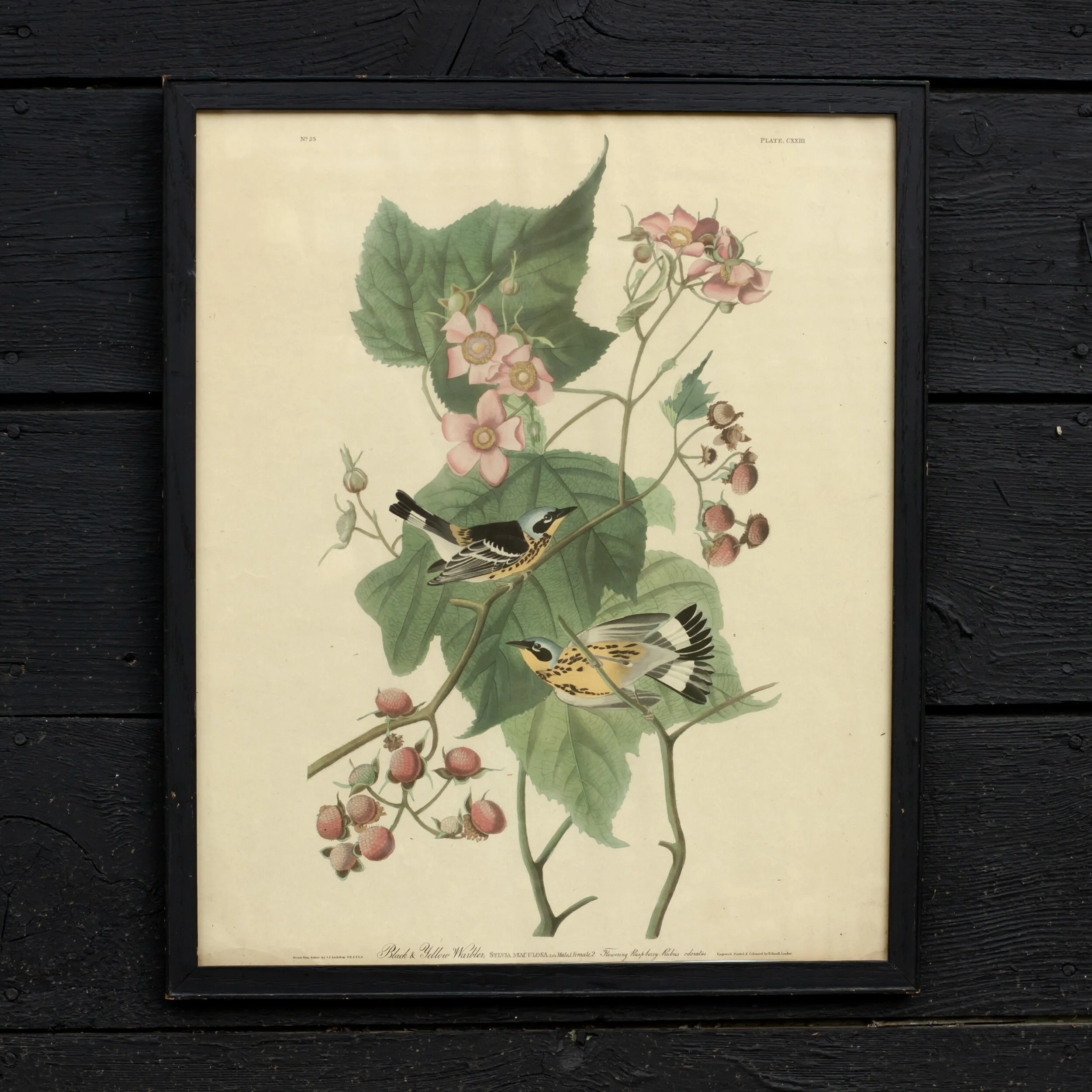 87CB7A01-405E-4CF3-943C-8CEA2F8BED2B