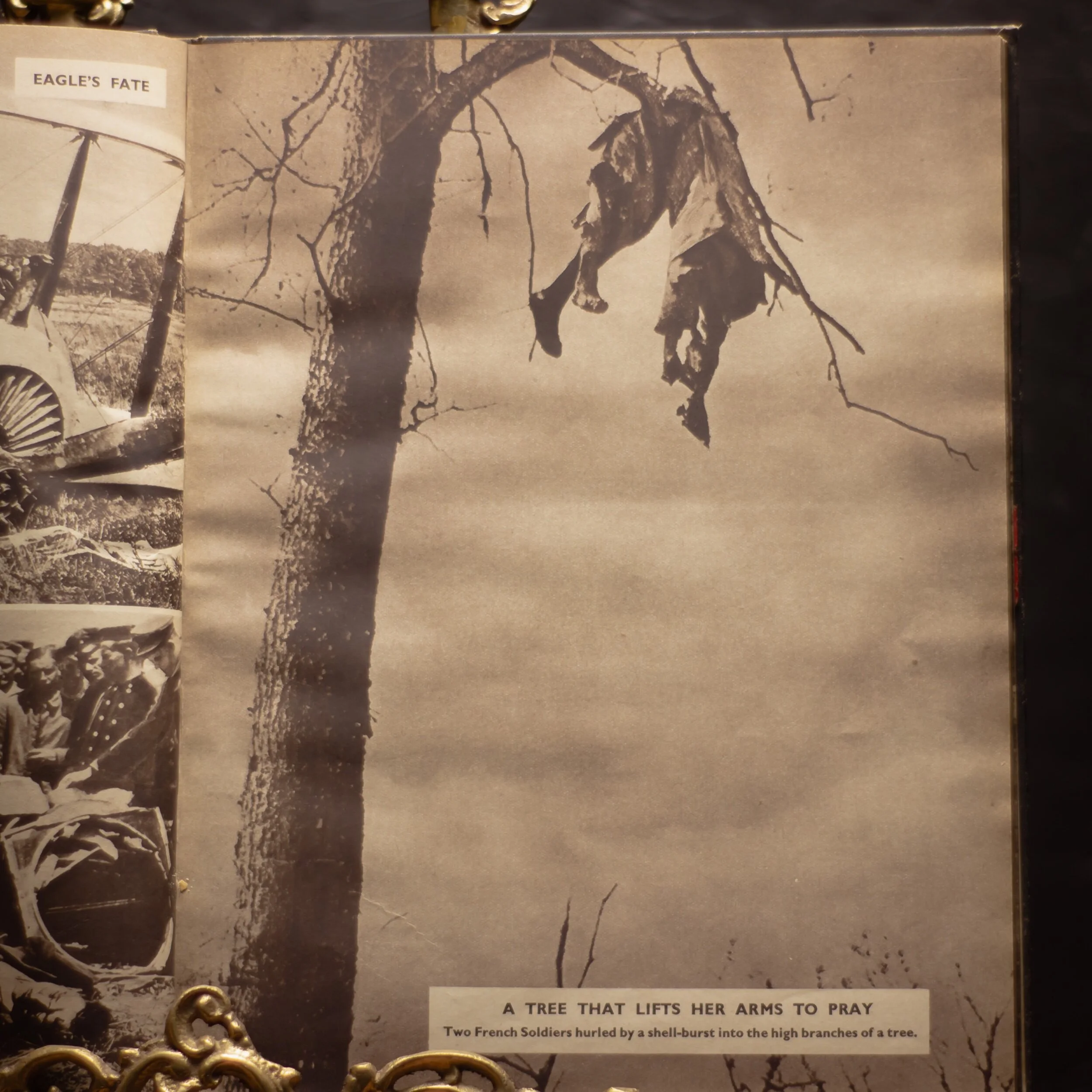 77F5F441-8660-4057-8AEB-22A721971AB7