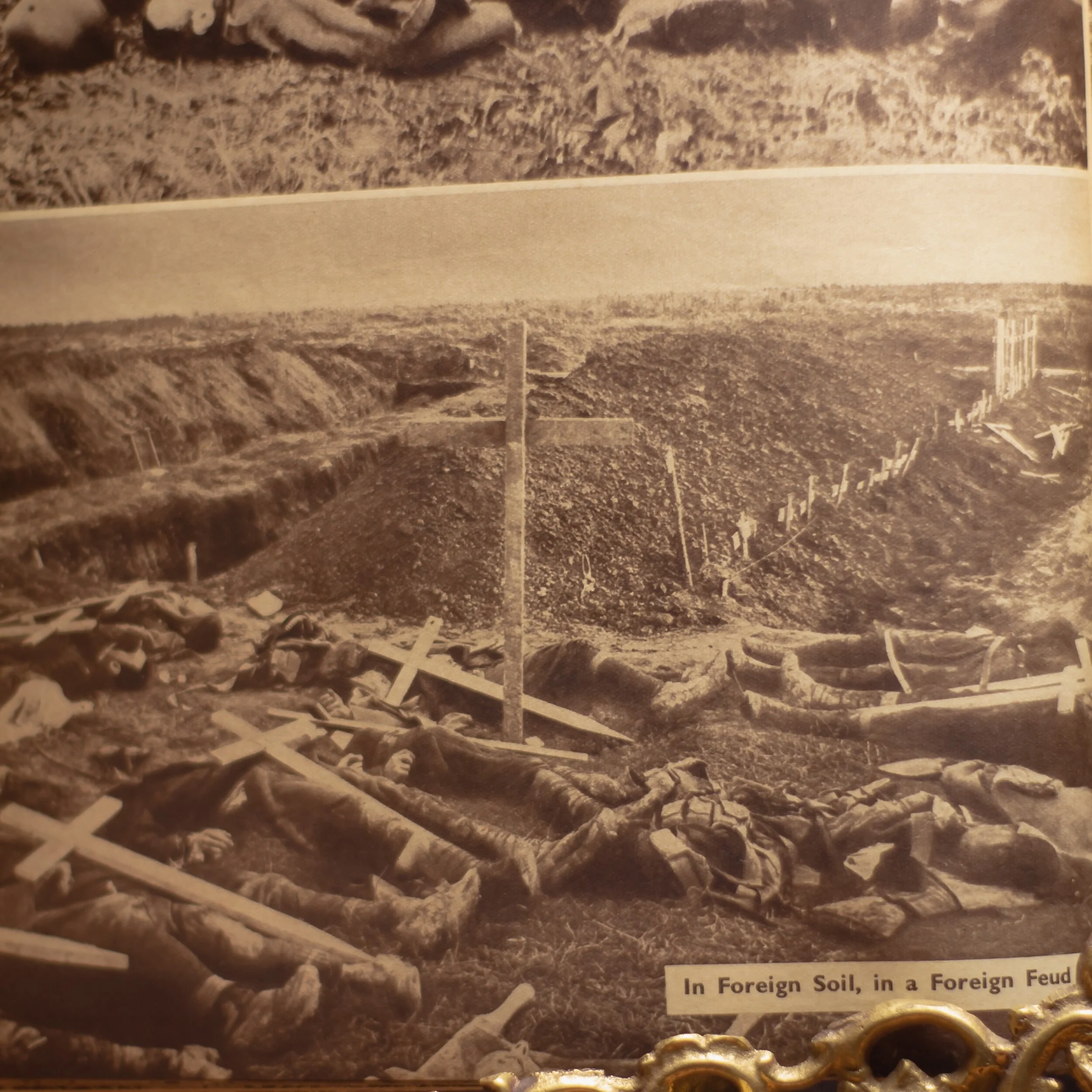 161D7F4E-DD49-40C2-A87E-E9EDE1C84008