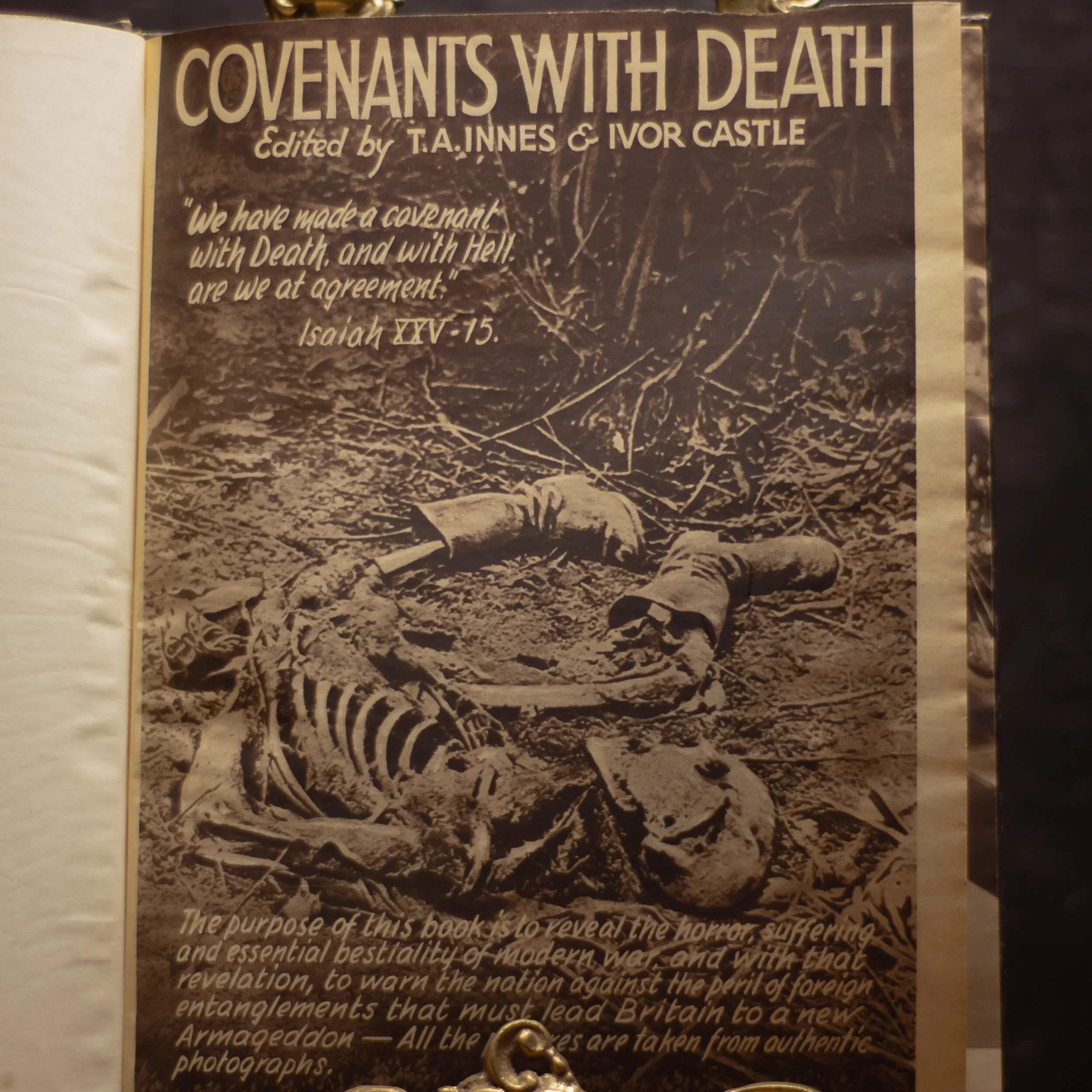 06FDCE36-7427-403B-85CF-AB3064D56D8E