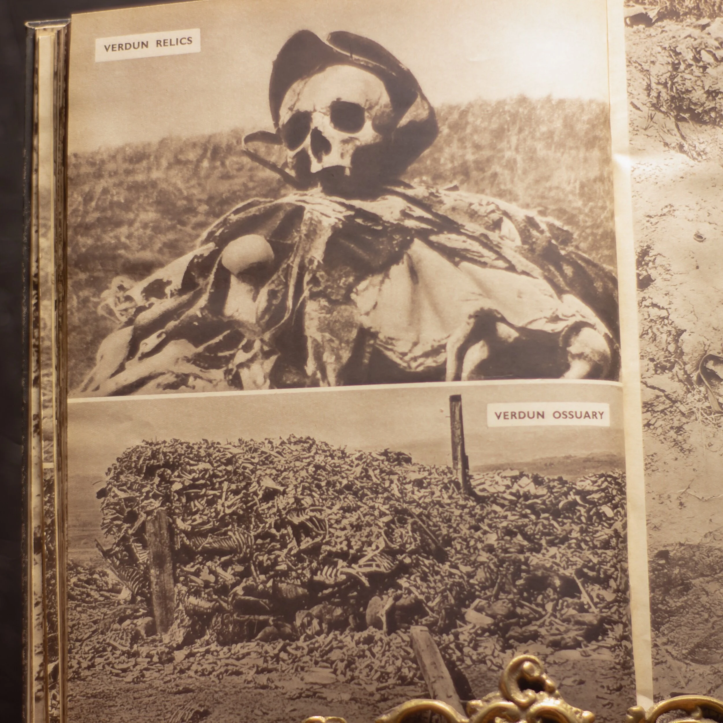 8907617C-98E6-4DF2-B5DB-4E594E2978F8