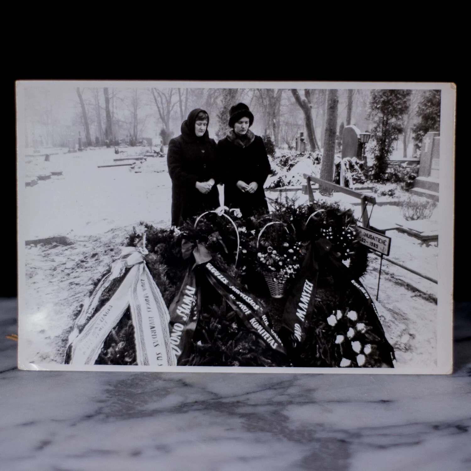 D35B3423-5F21-4B24-BCD5-82531B6FA37D