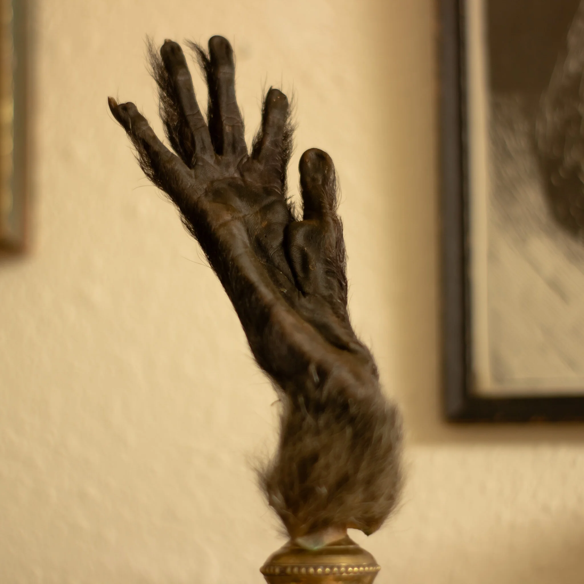 74096E92-1092-48CD-AFB3-AAAD7C4F54A7