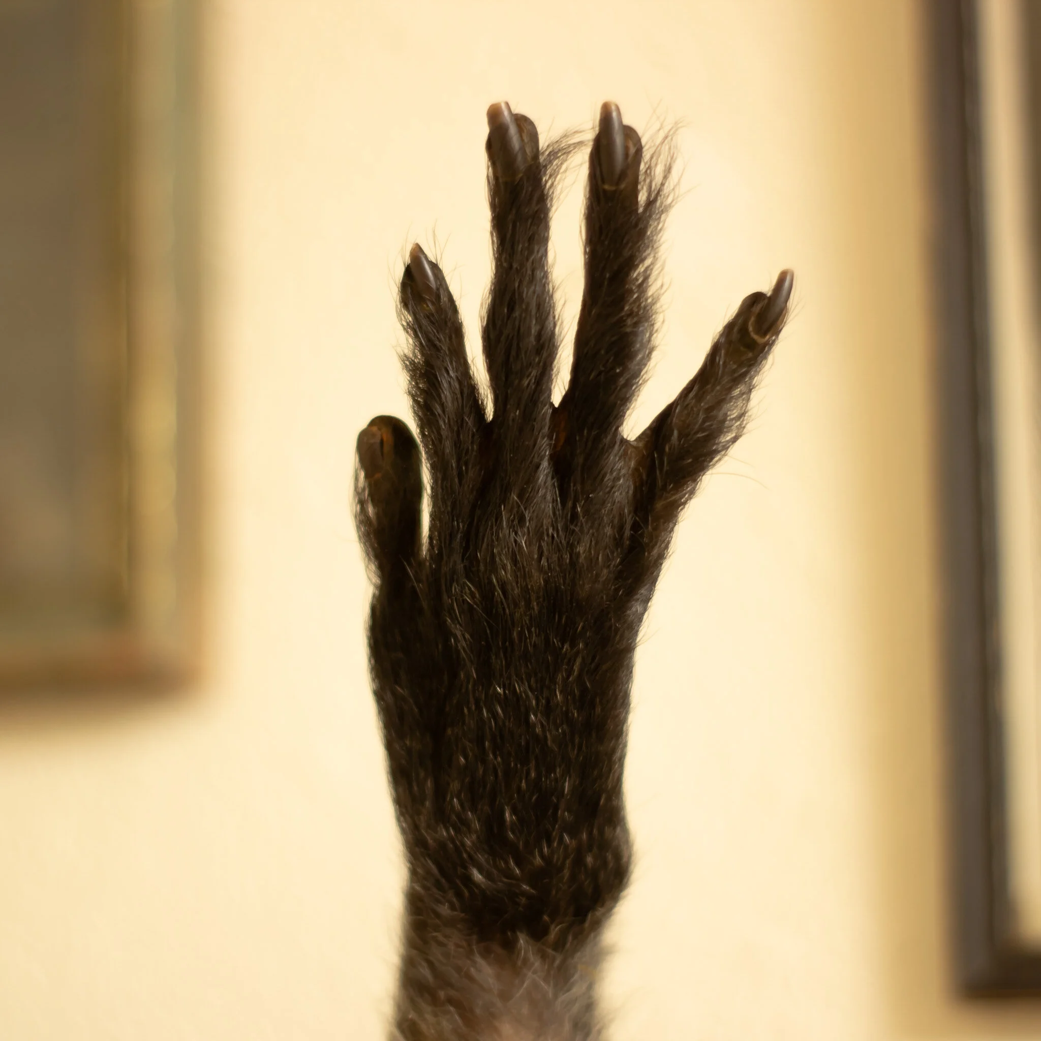 063D1186-A75B-4FE7-8A65-2B943DCB89F0