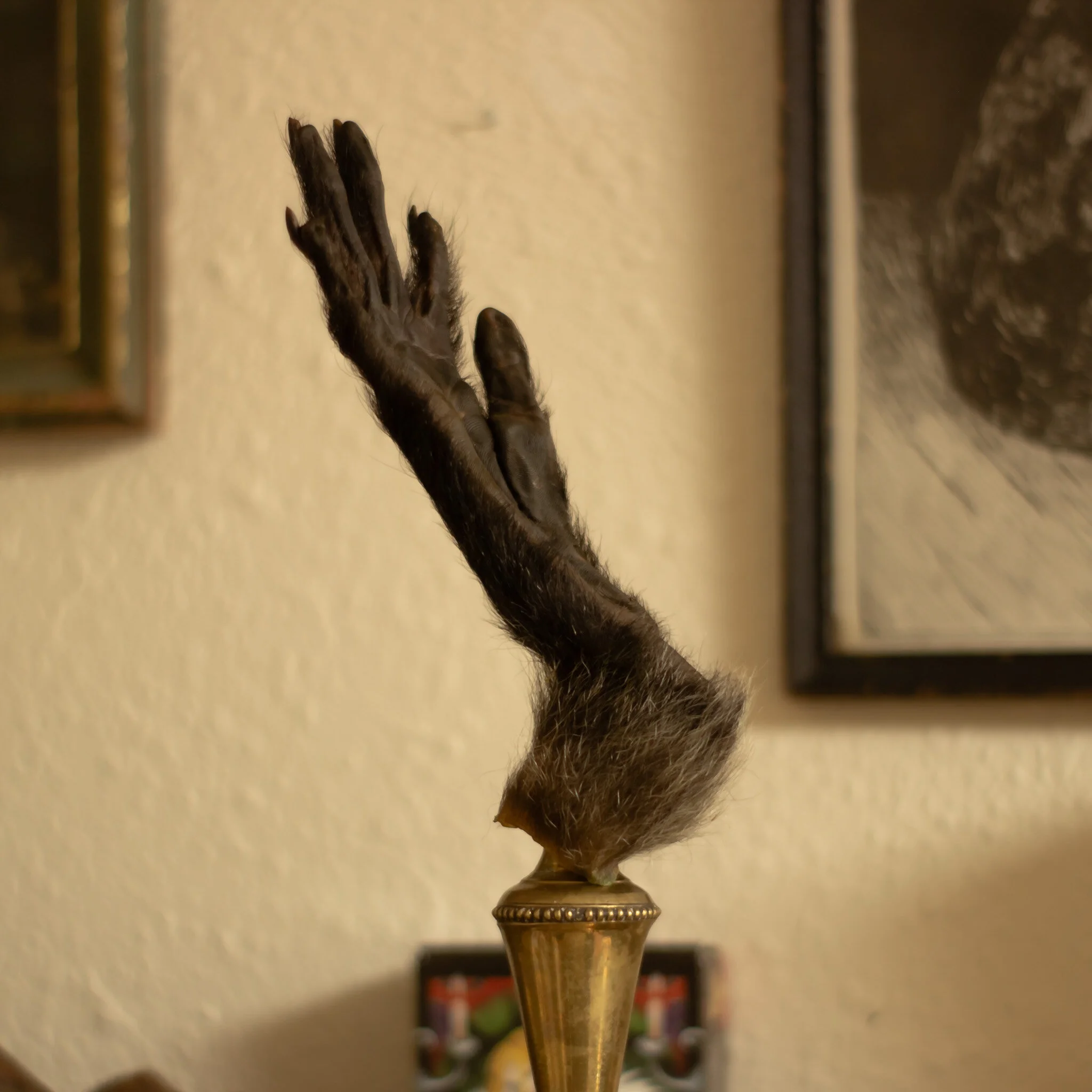 1131DADA-AAB7-4C70-9327-5F831030CD1D