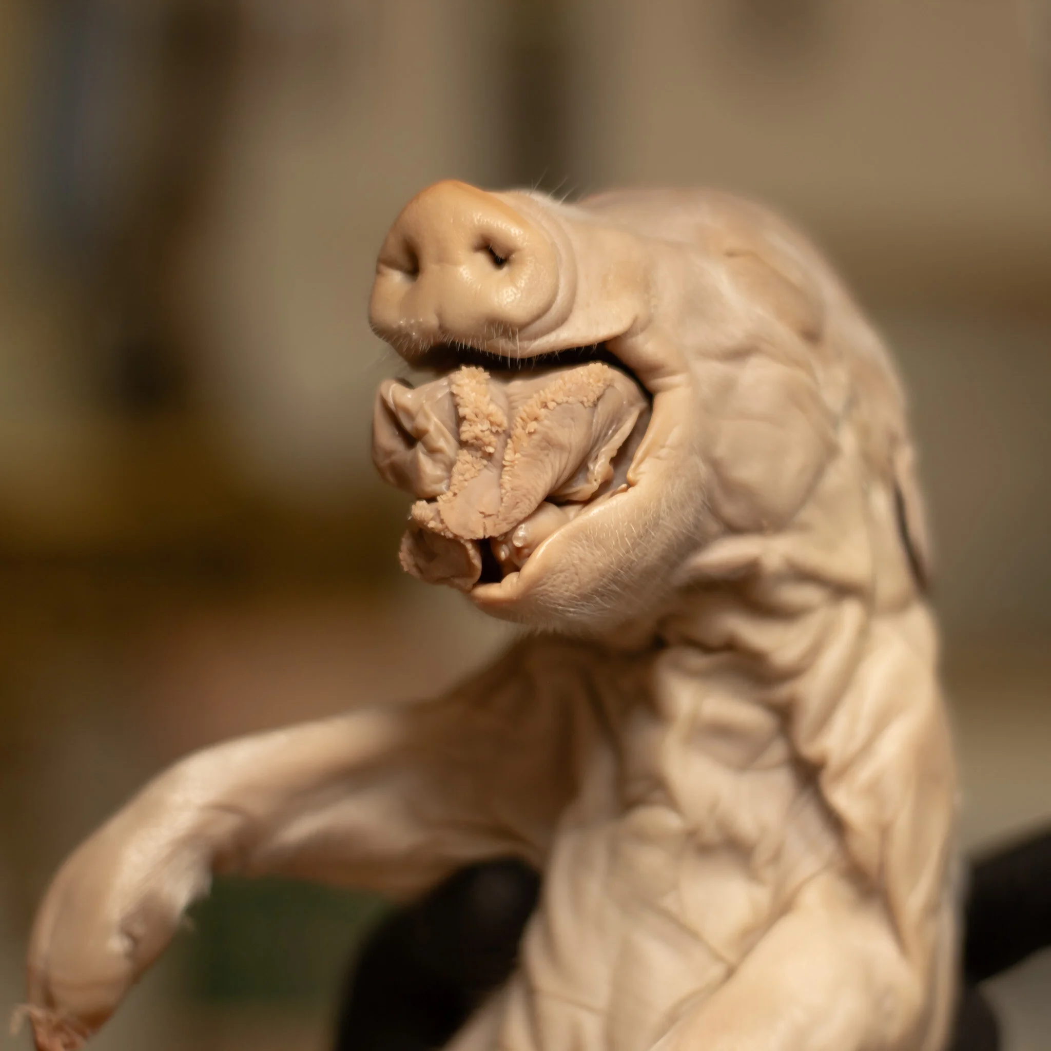 963E3240-DF89-42CA-B795-D13AD547A8E1