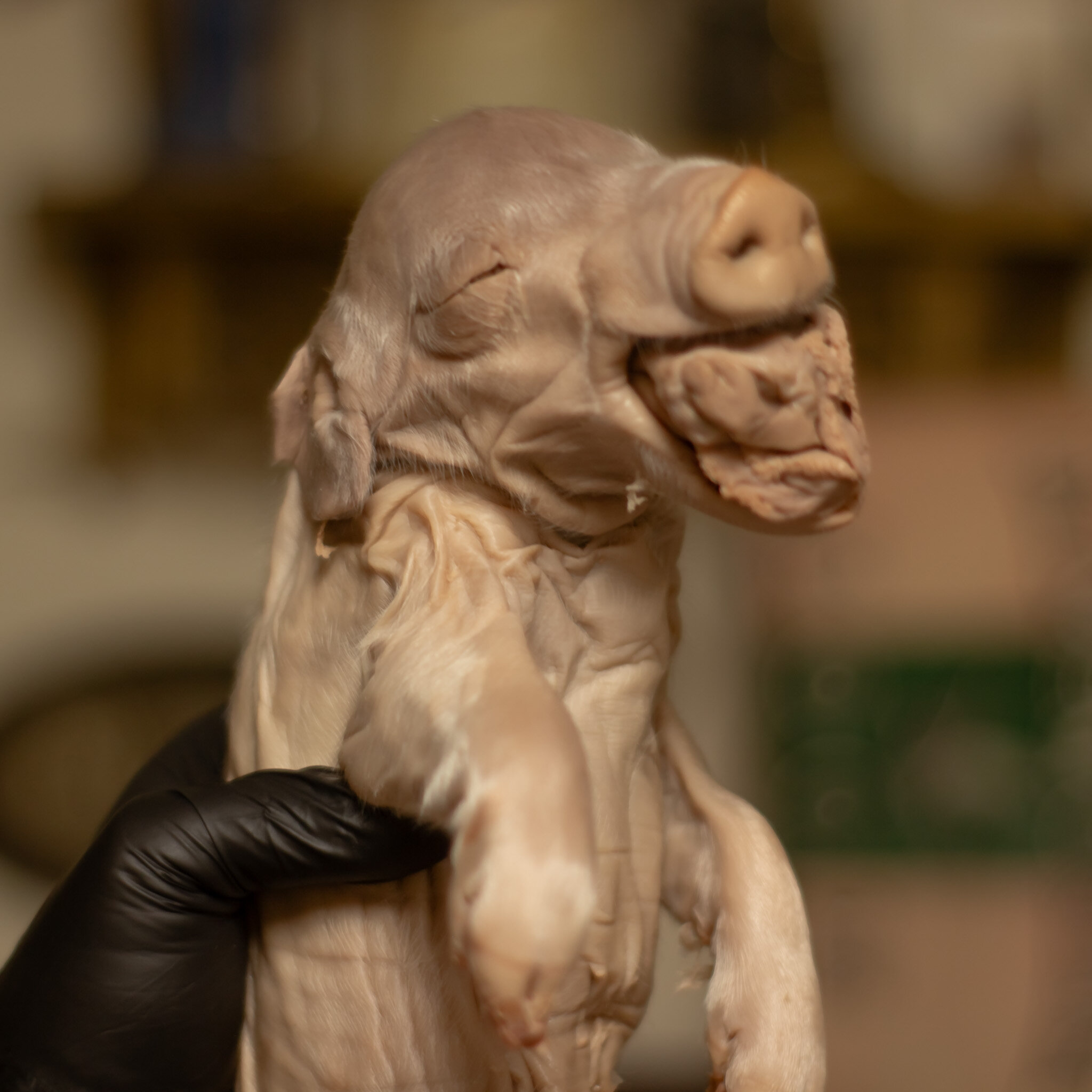 6FF14D6A-E680-4622-AF18-2099E20F4C95