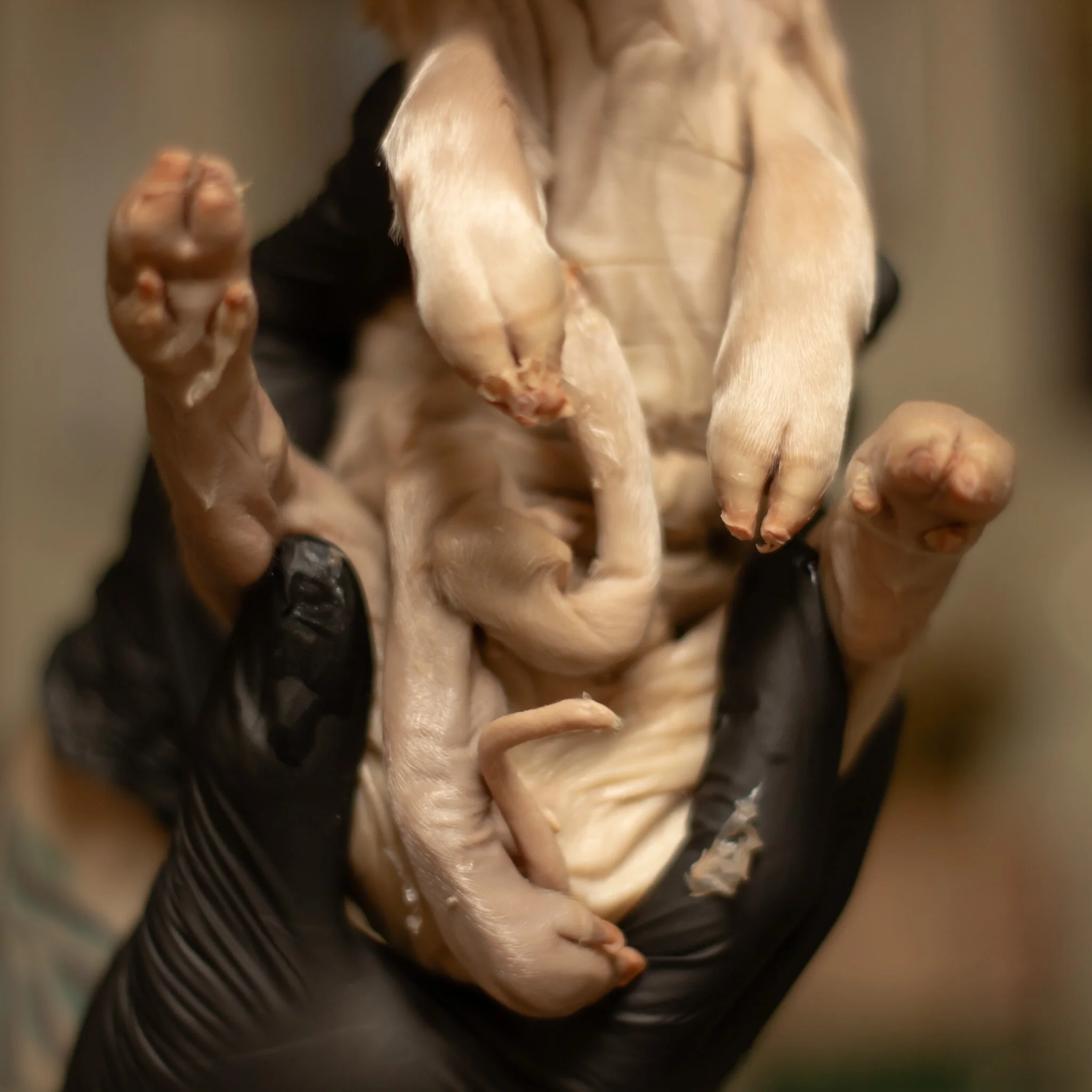 1899049E-DFC8-4901-B48D-A8514746D6DA