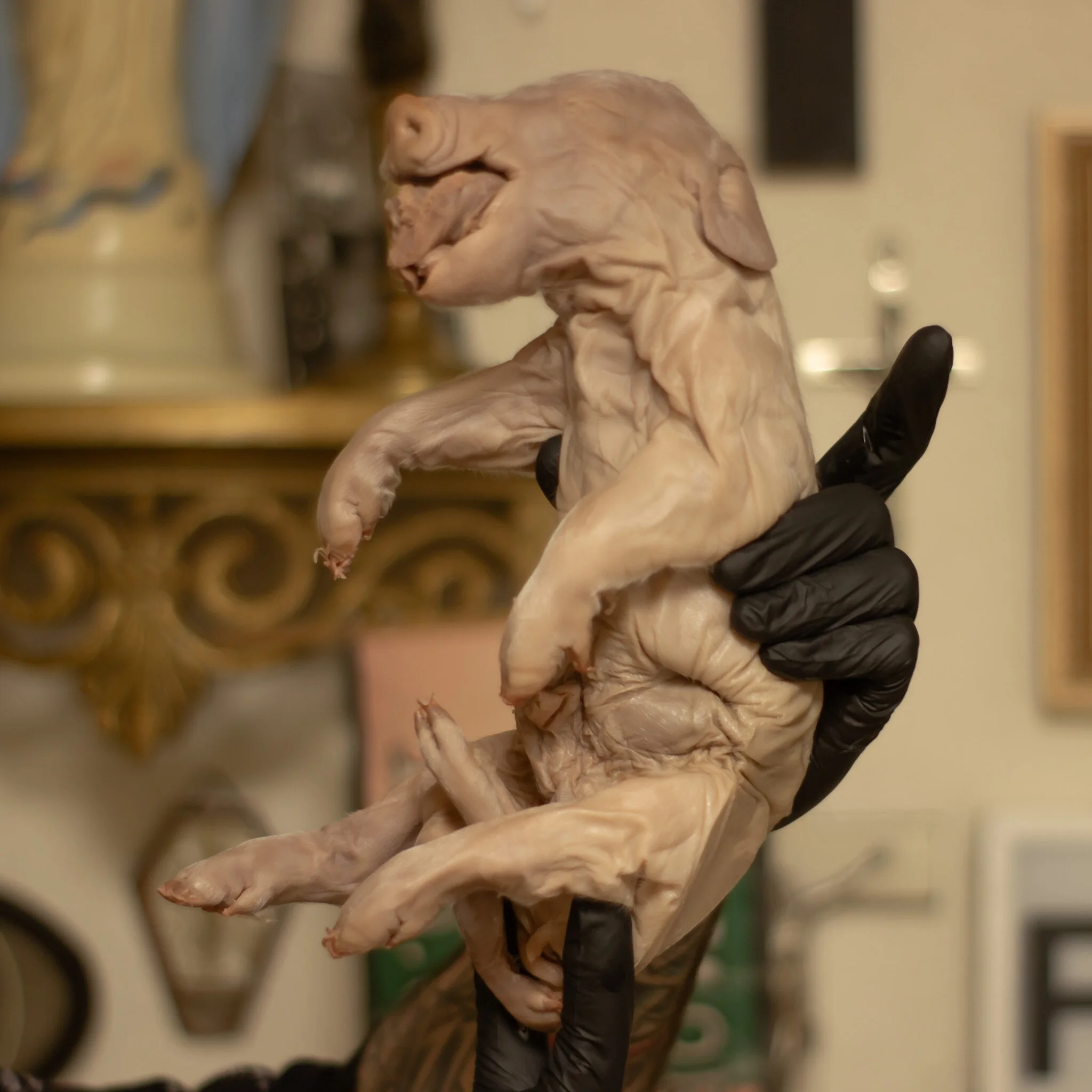 6CD9DAB8-CD93-4526-91C0-CC4F9A326978