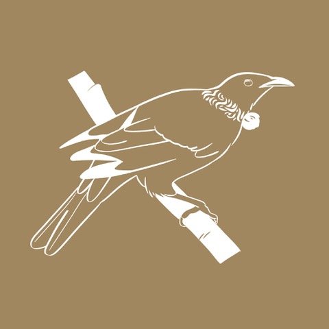 Can I Do This On My Own?