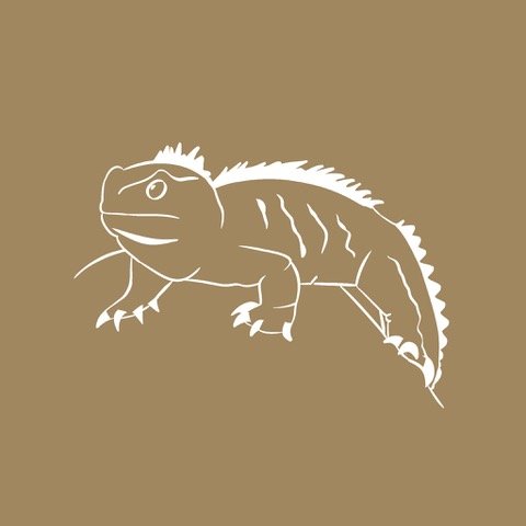 You Can Be So Harsh Sometimes