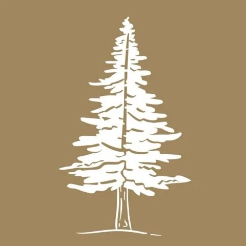 What Do I Do With All This Pain? Part 1