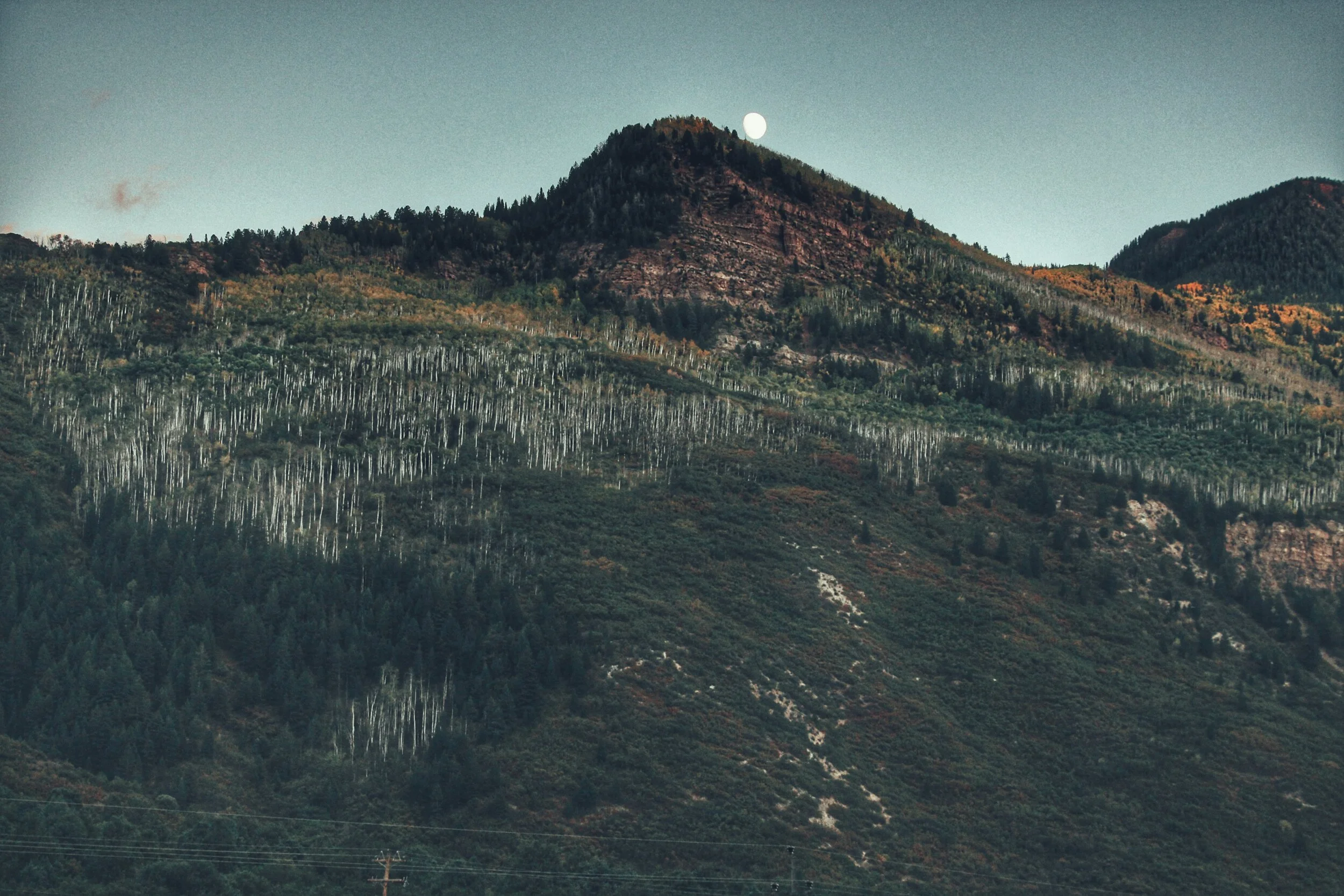 Snapseed (1) copy 3.jpg