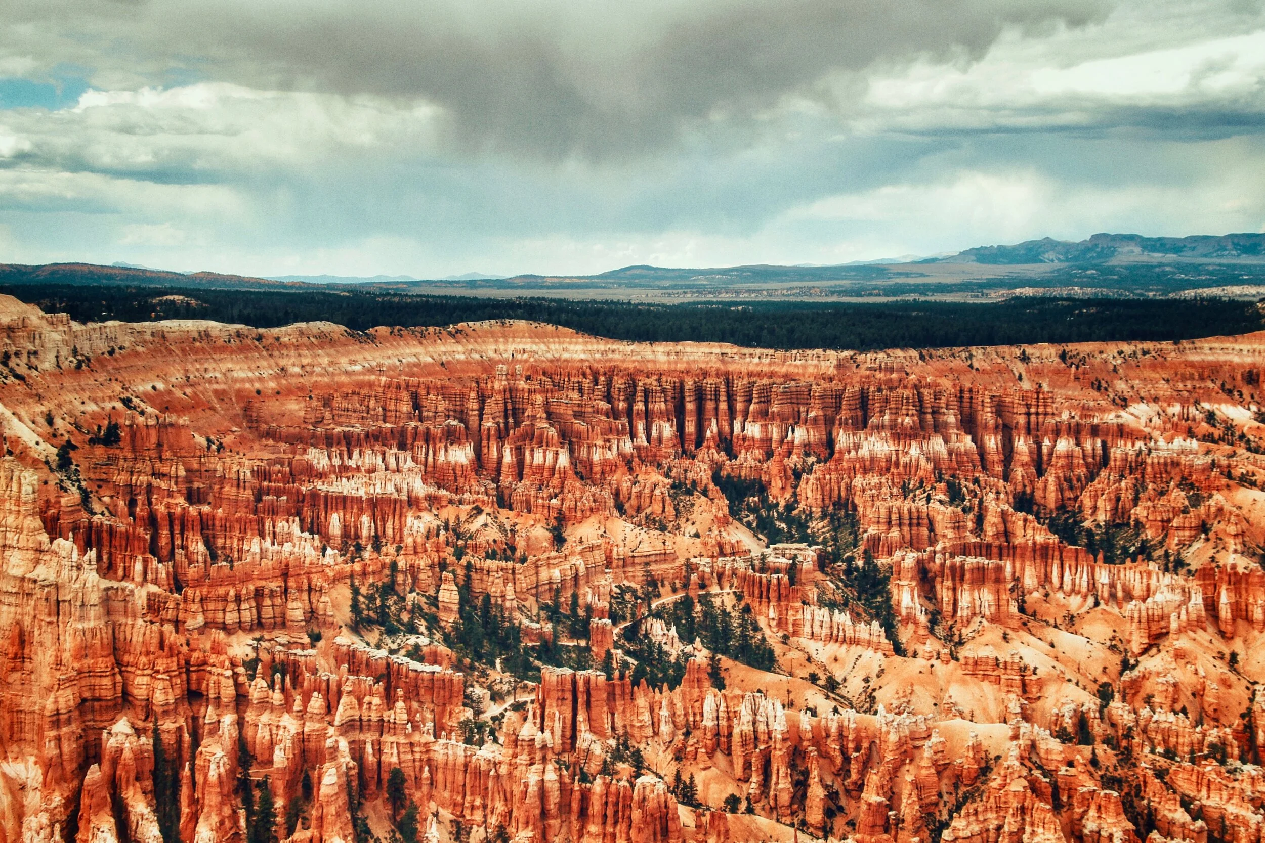 Snapseed (1) copy.jpeg