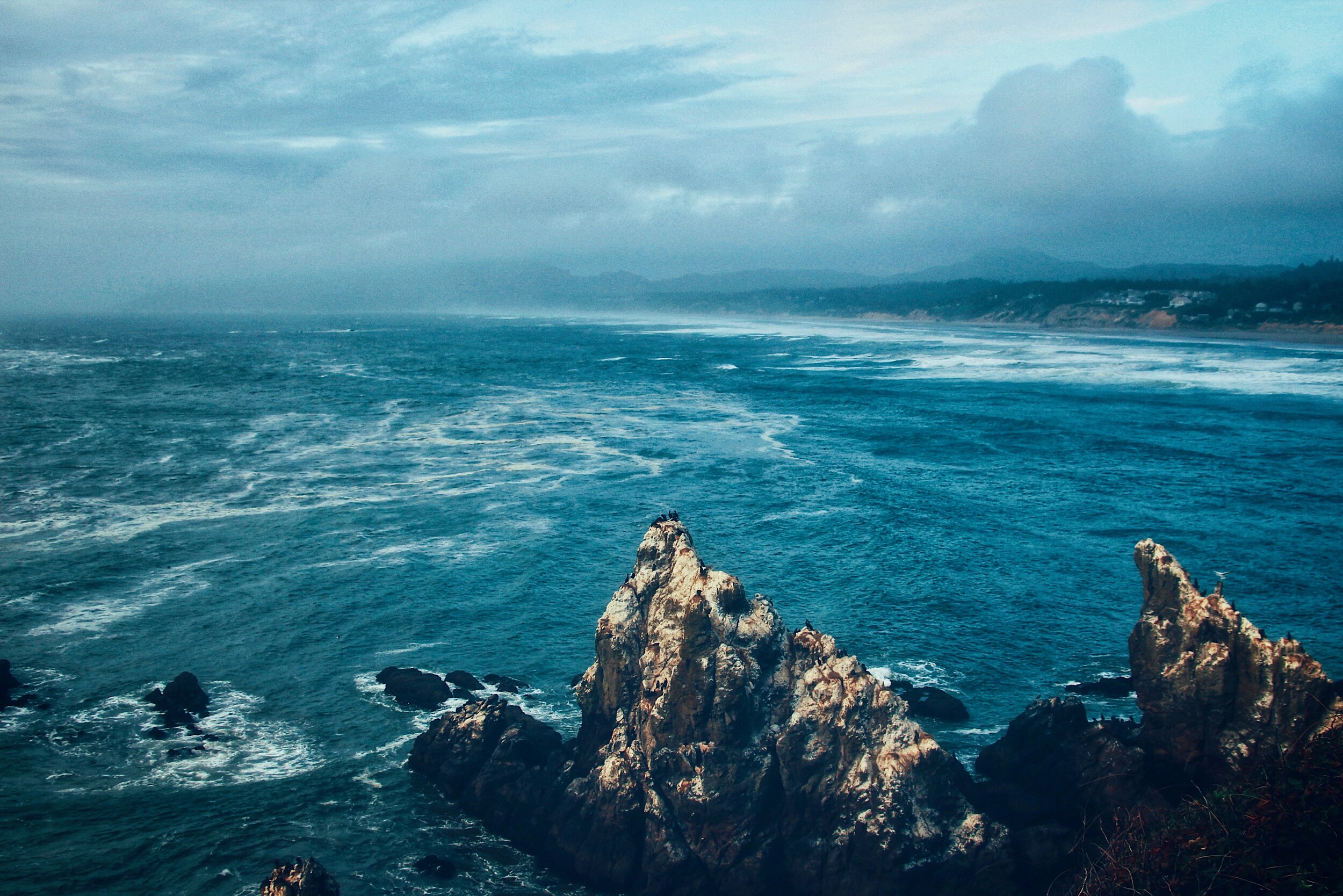 Watching from the Rocks