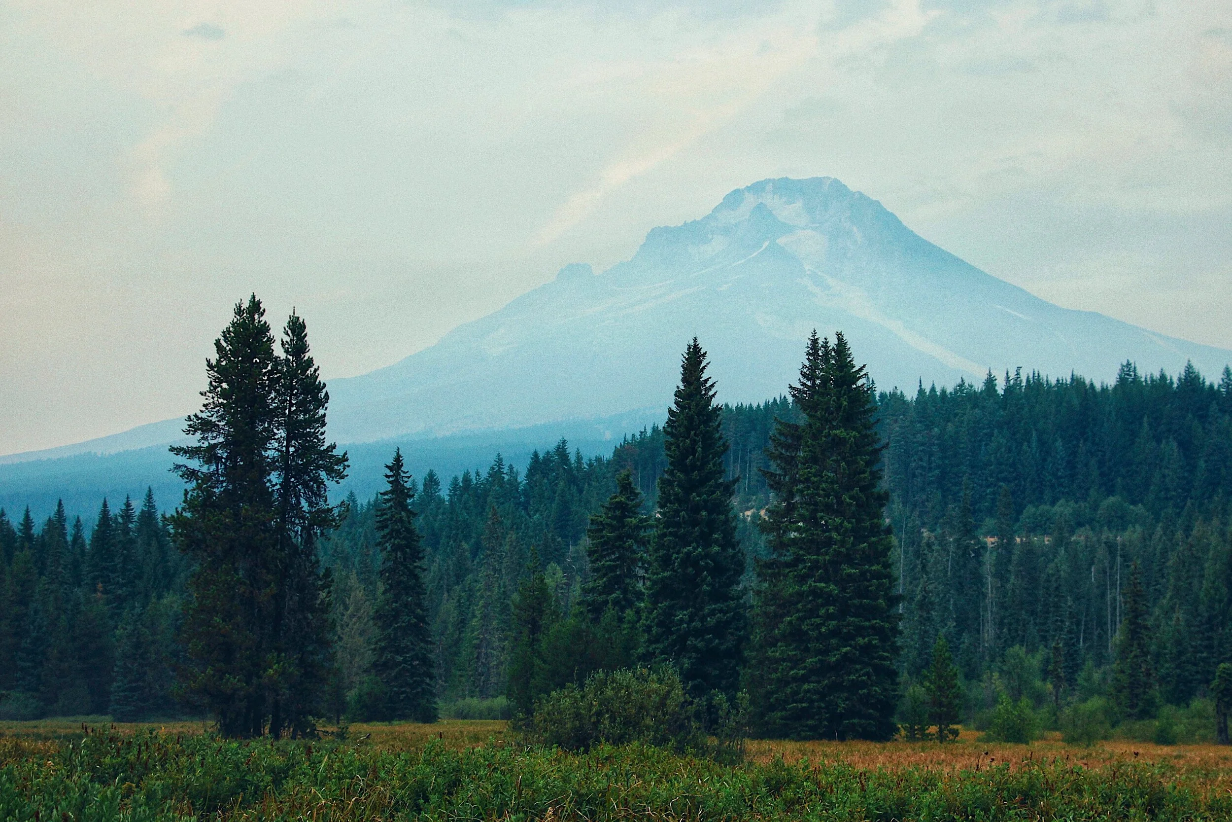 Rest for the Night.jpeg