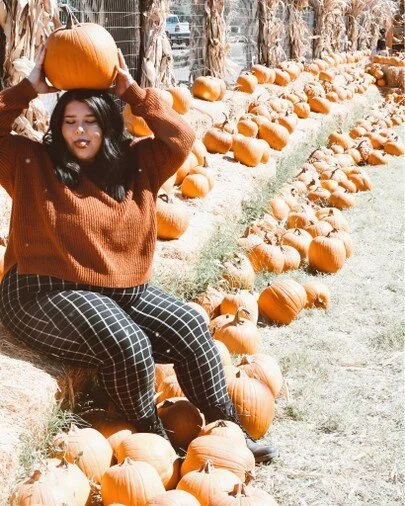 Pumpkin Patch IG.jpeg