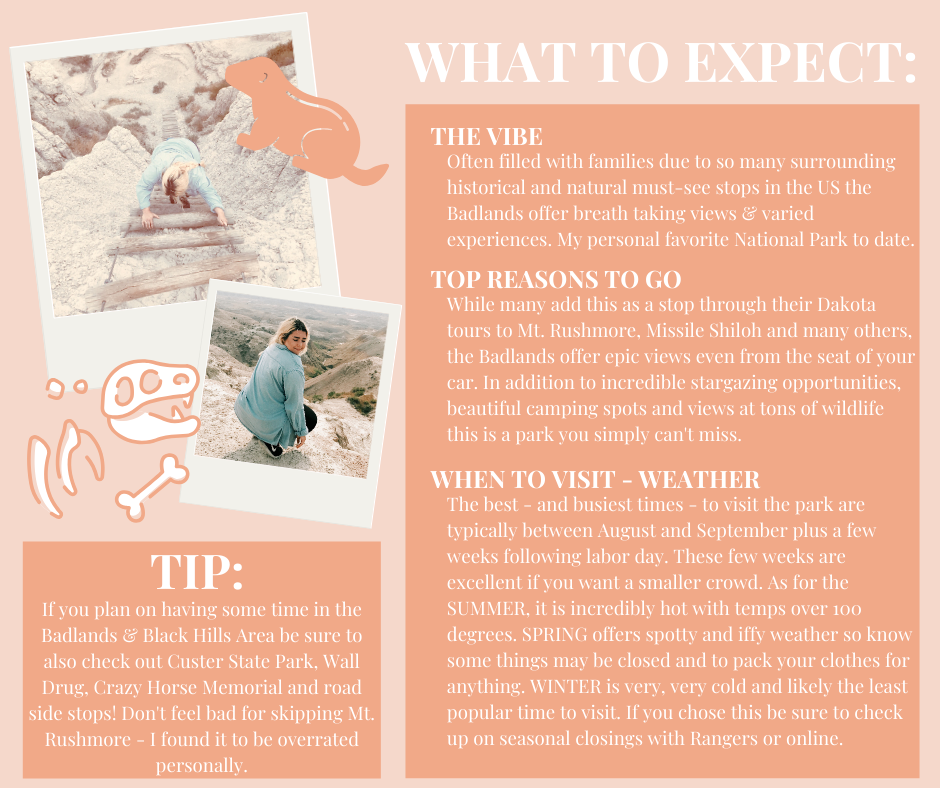 NP Basics (ALL) (1).png