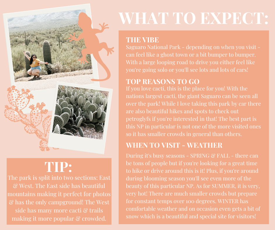 NP Basics (ALL) (2).png