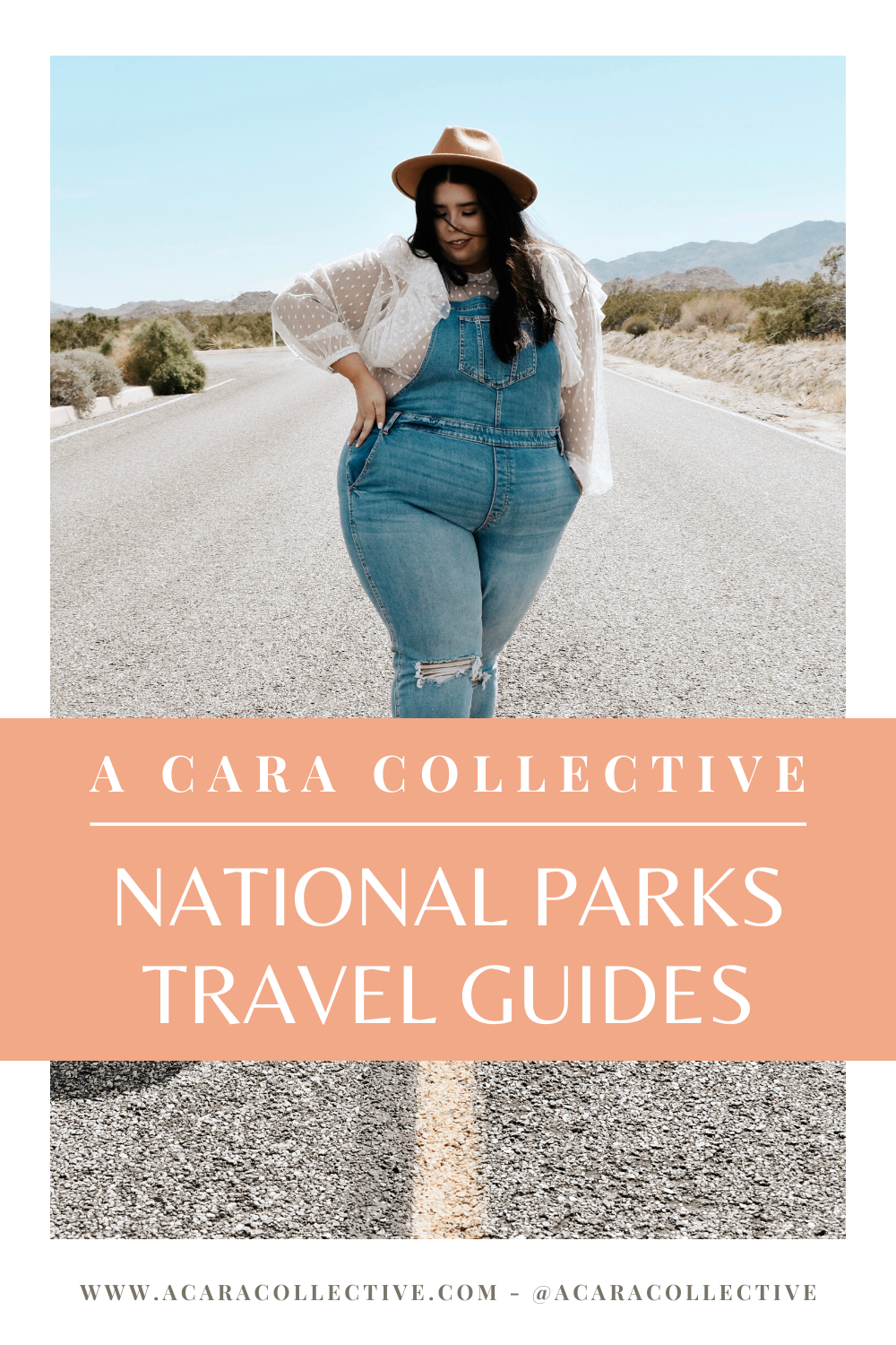 National Parks Travel Guides.png