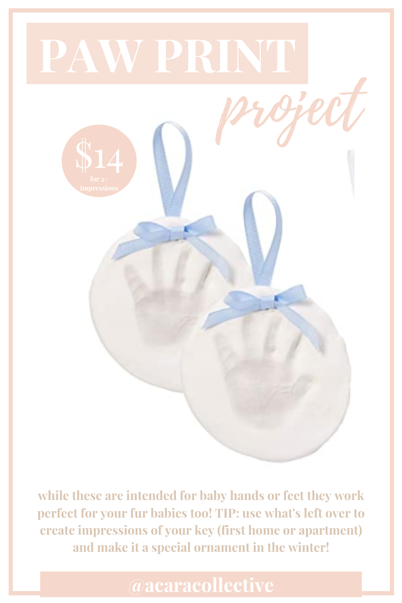 Paw Print Project.png