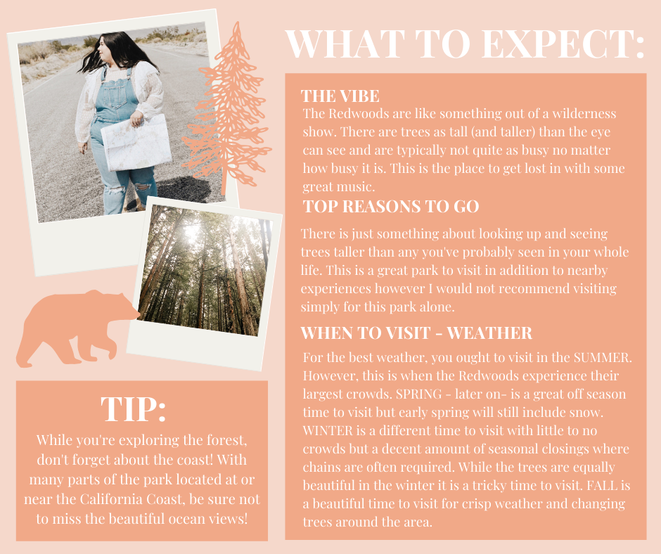 NP Basics (ALL) (4).png