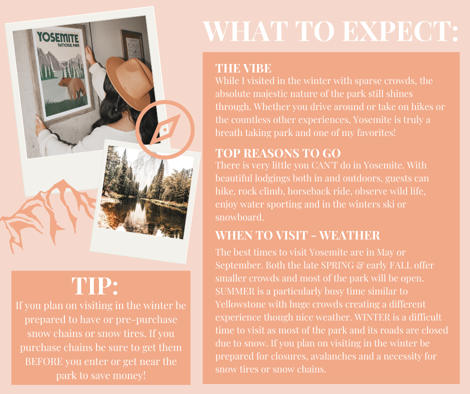 NP Basics (ALL) (5).png