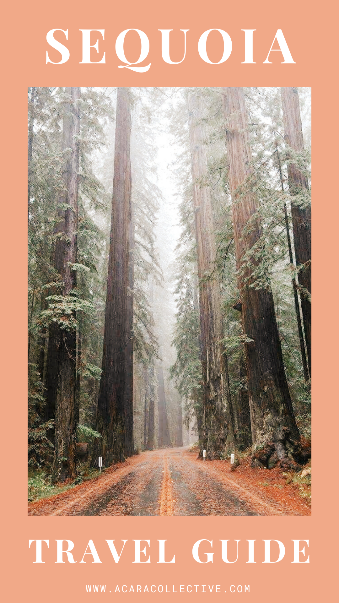 Copy of April Pins (8).png