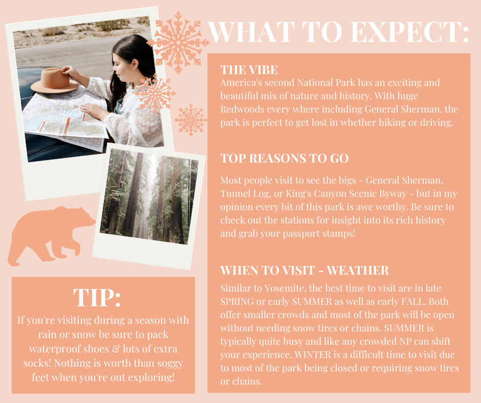 NP Basics (ALL) (6).png