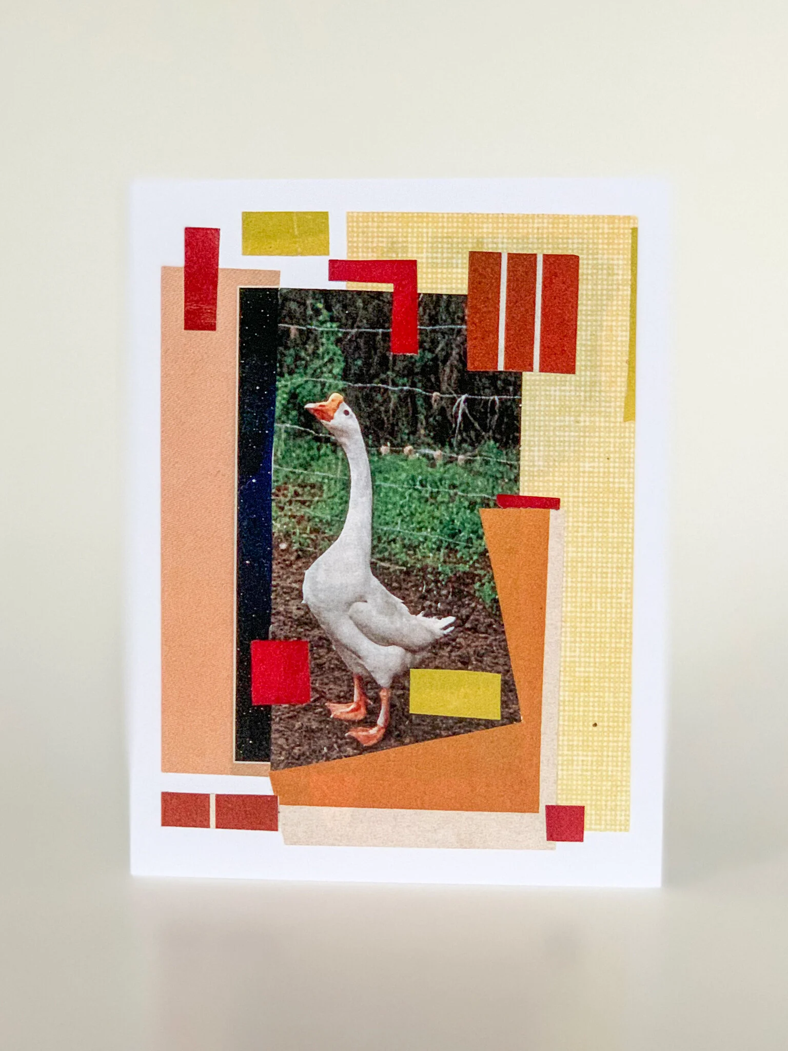 Goose