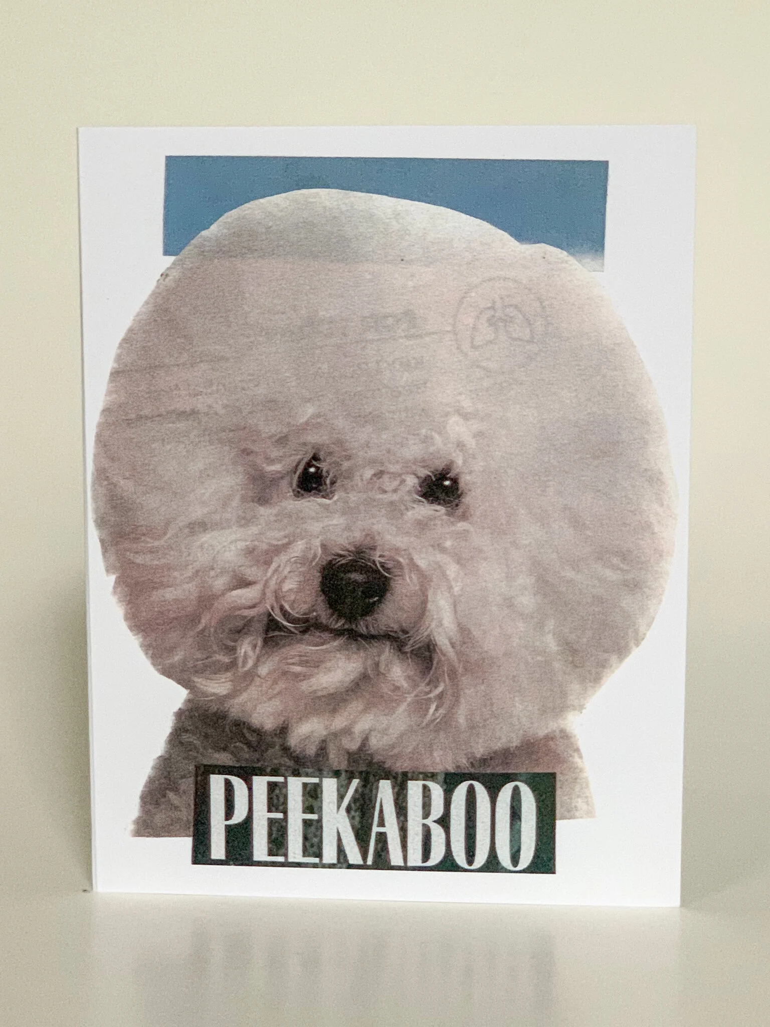 Peekaboo