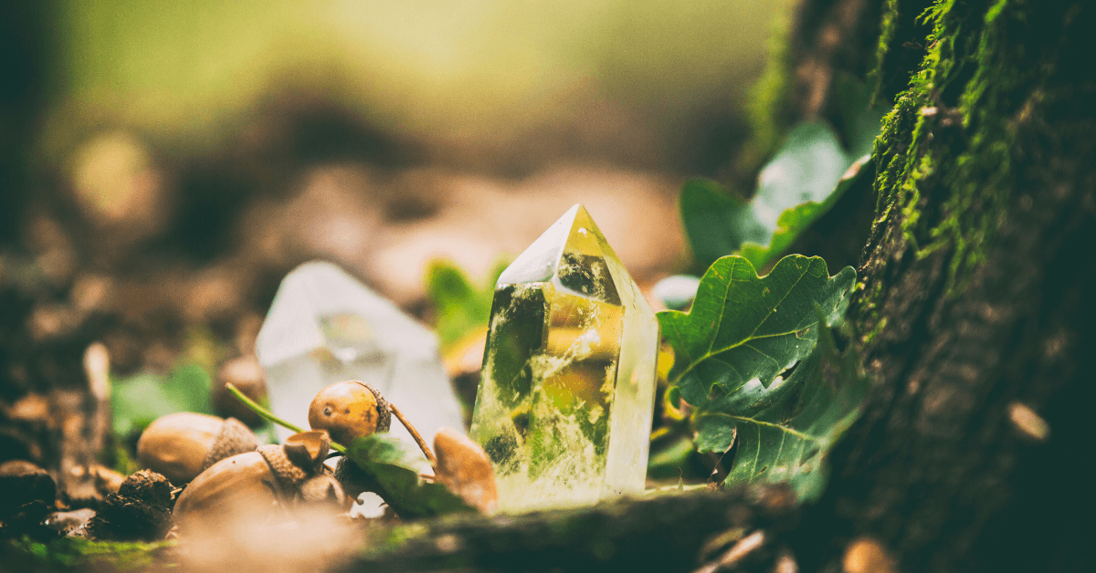 5 Reasons to Be Cremated by Water Instead of Fire — Be a Tree Cremation