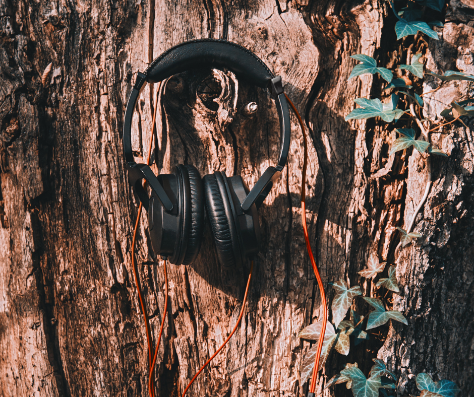 Water Cremation (Alkaline Hydrolysis) in Denver Colorado