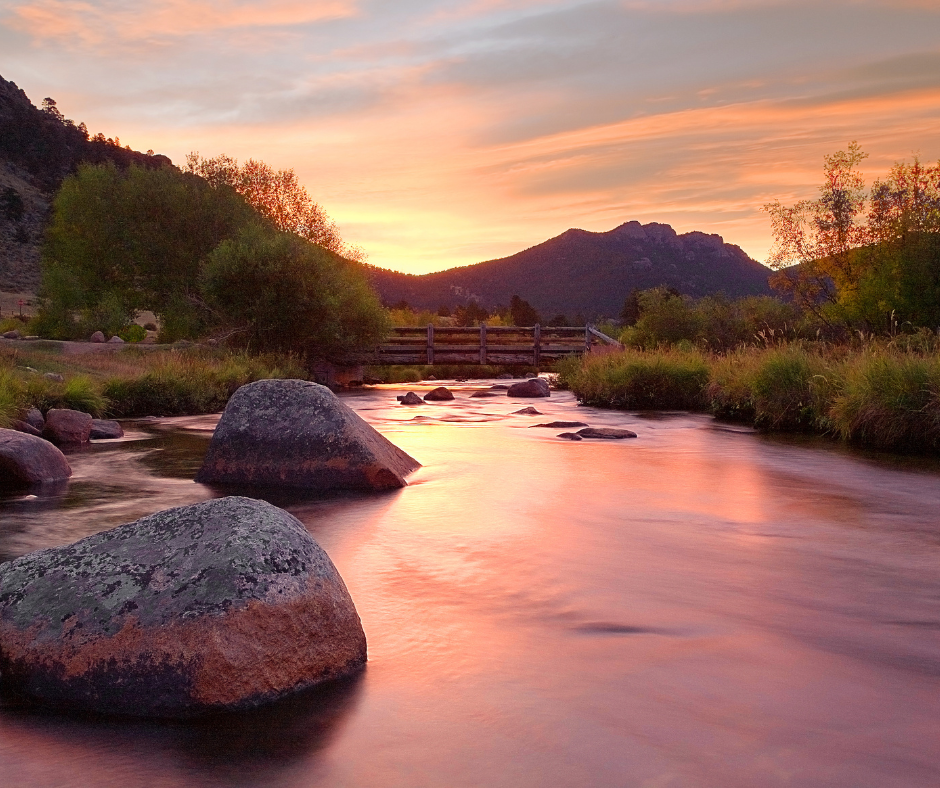 Be a Tree Cremation Denver, CO Green Cremation in Colorado
