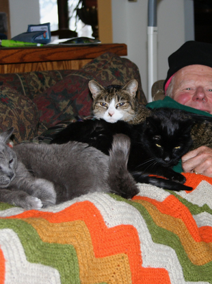 Edmund Lambert pile of cats.png