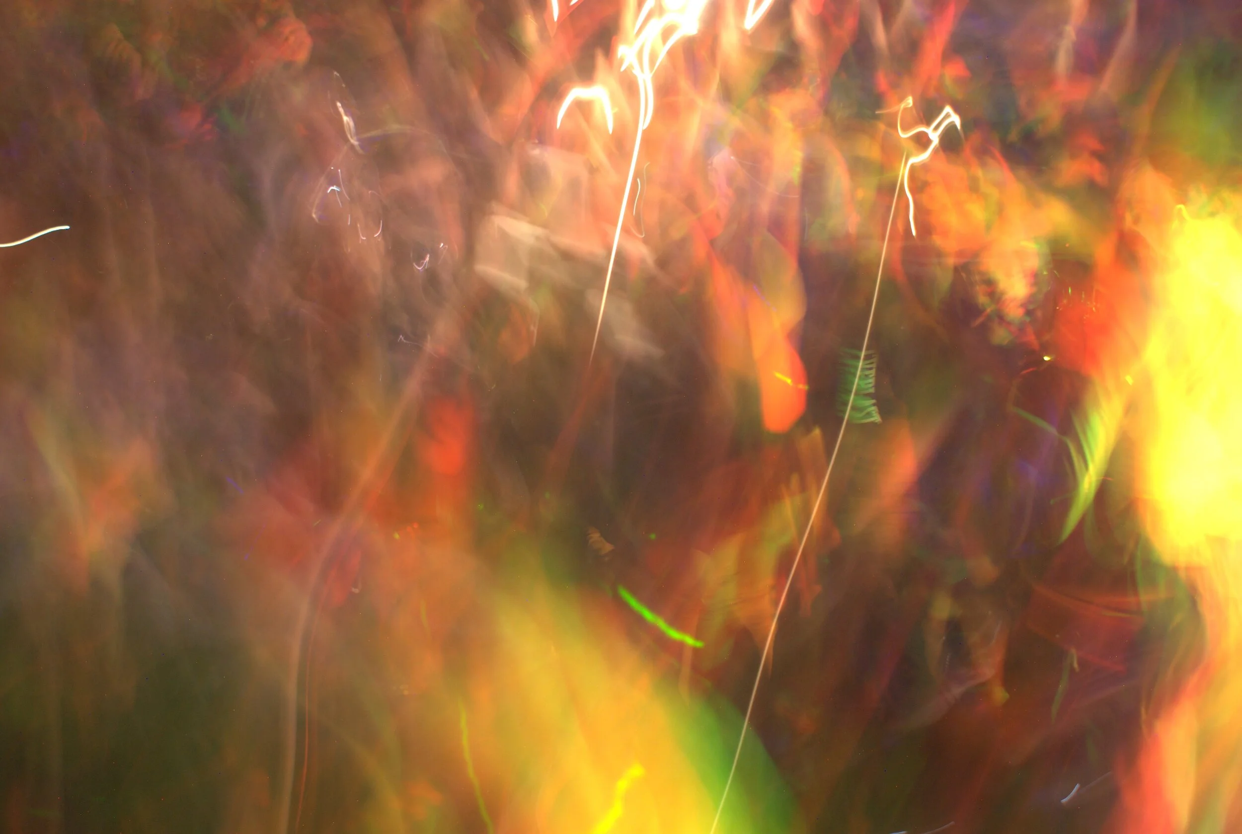 DSC03154.jpeg